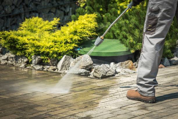 Best Winterizing Services  in Newark, NJ