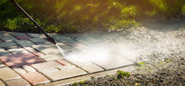 Best Animal Enclosure Cleaning  in Newark, NJ